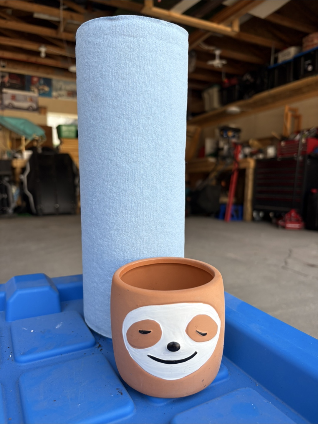 Sloth Face Terracotta Pot