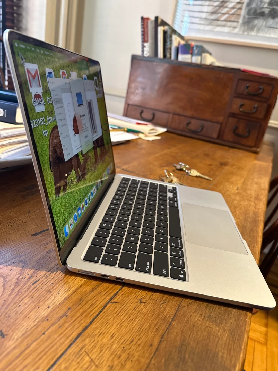 MacBook Air 13-inch, Apple M4 Chip image indicator(3)