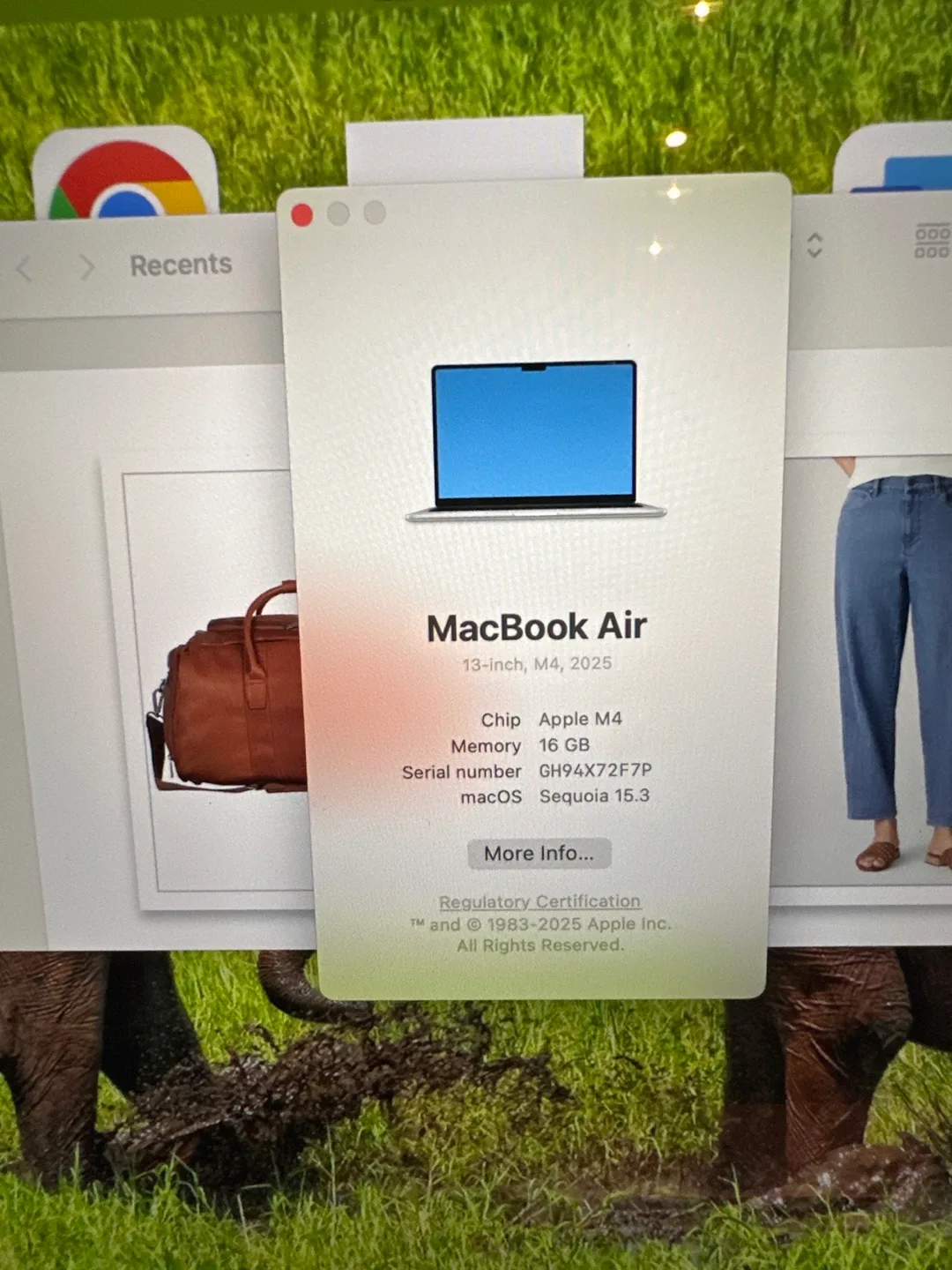 MacBook Air 13-inch, Apple M4 Chip image indicator(2)