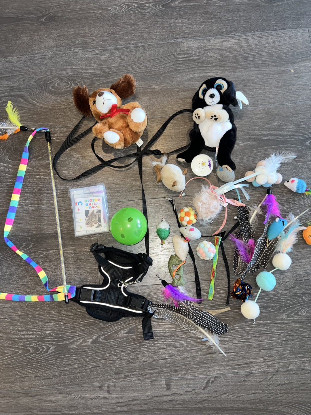 Cat toys and harness bundle - Free - photo 2
