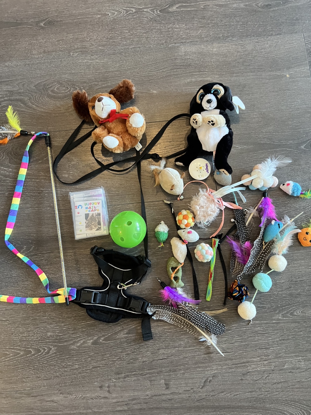 Cat toys and harness bundle - Free