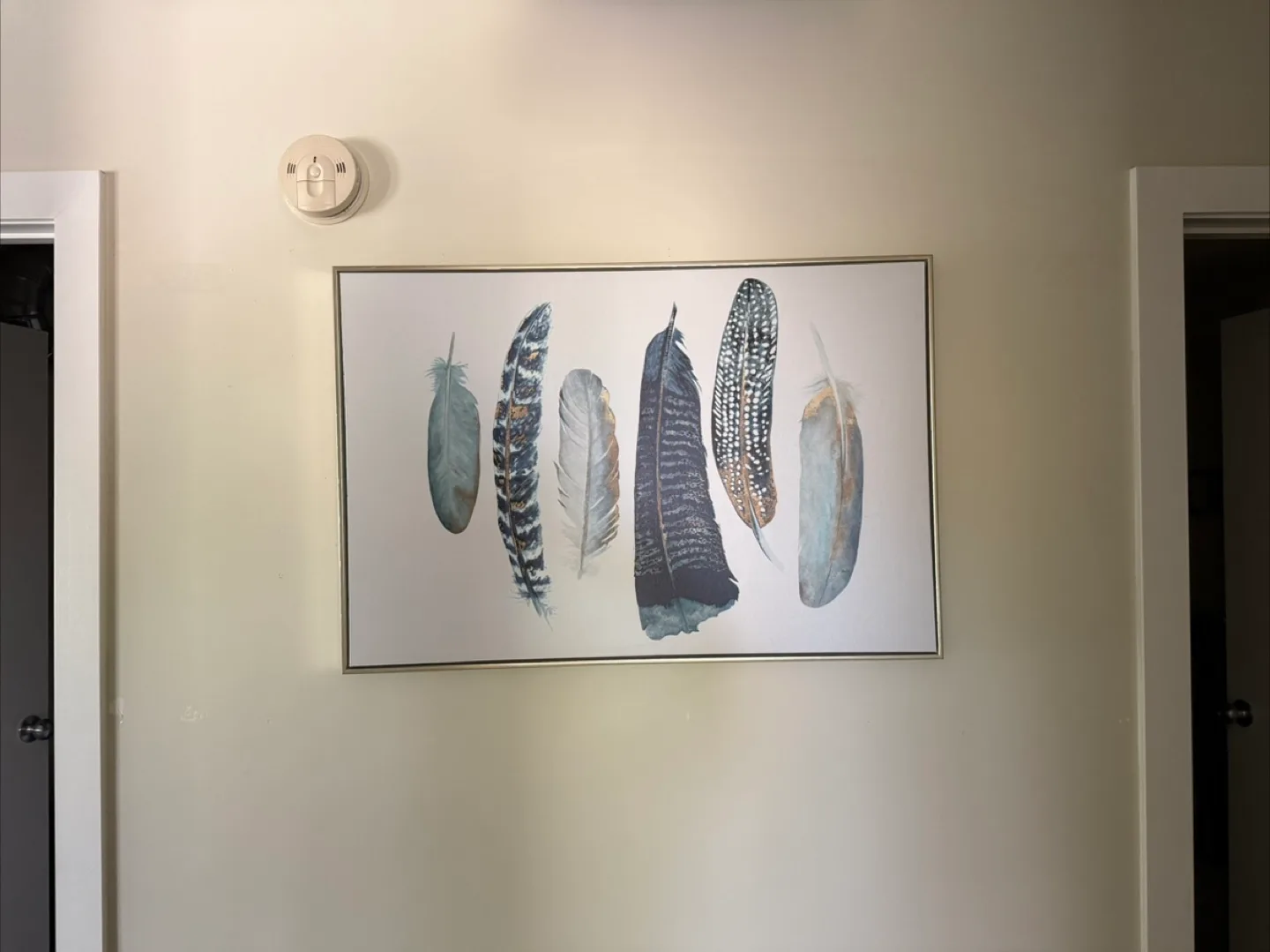 Feather Print Wall Art thumbnail