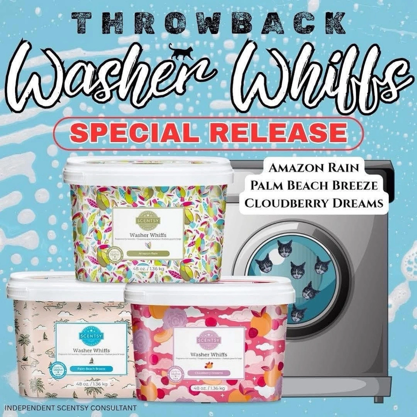 Scentsy Washer Whiffs!