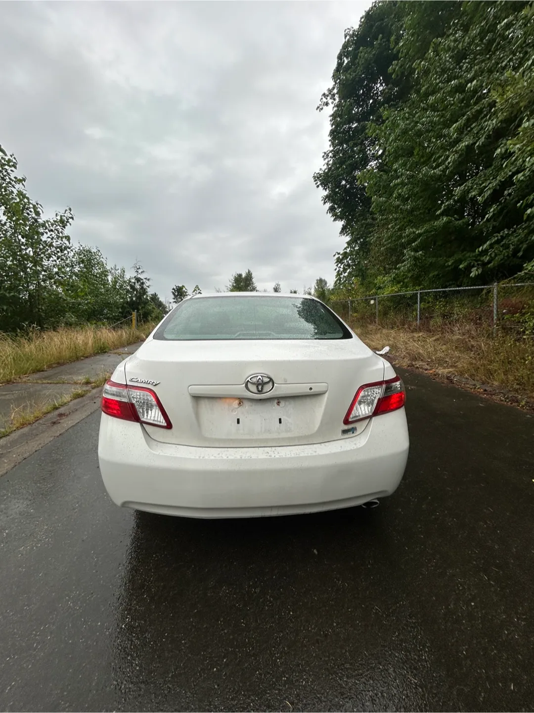 Toyota Camry Hybrid - White Sedan image indicator(4)