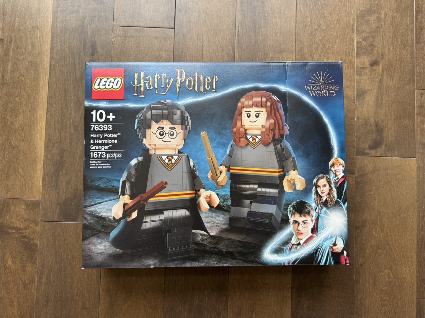 LEGO Harry Potter Set 76393 Harry Potter and Hermione Granger