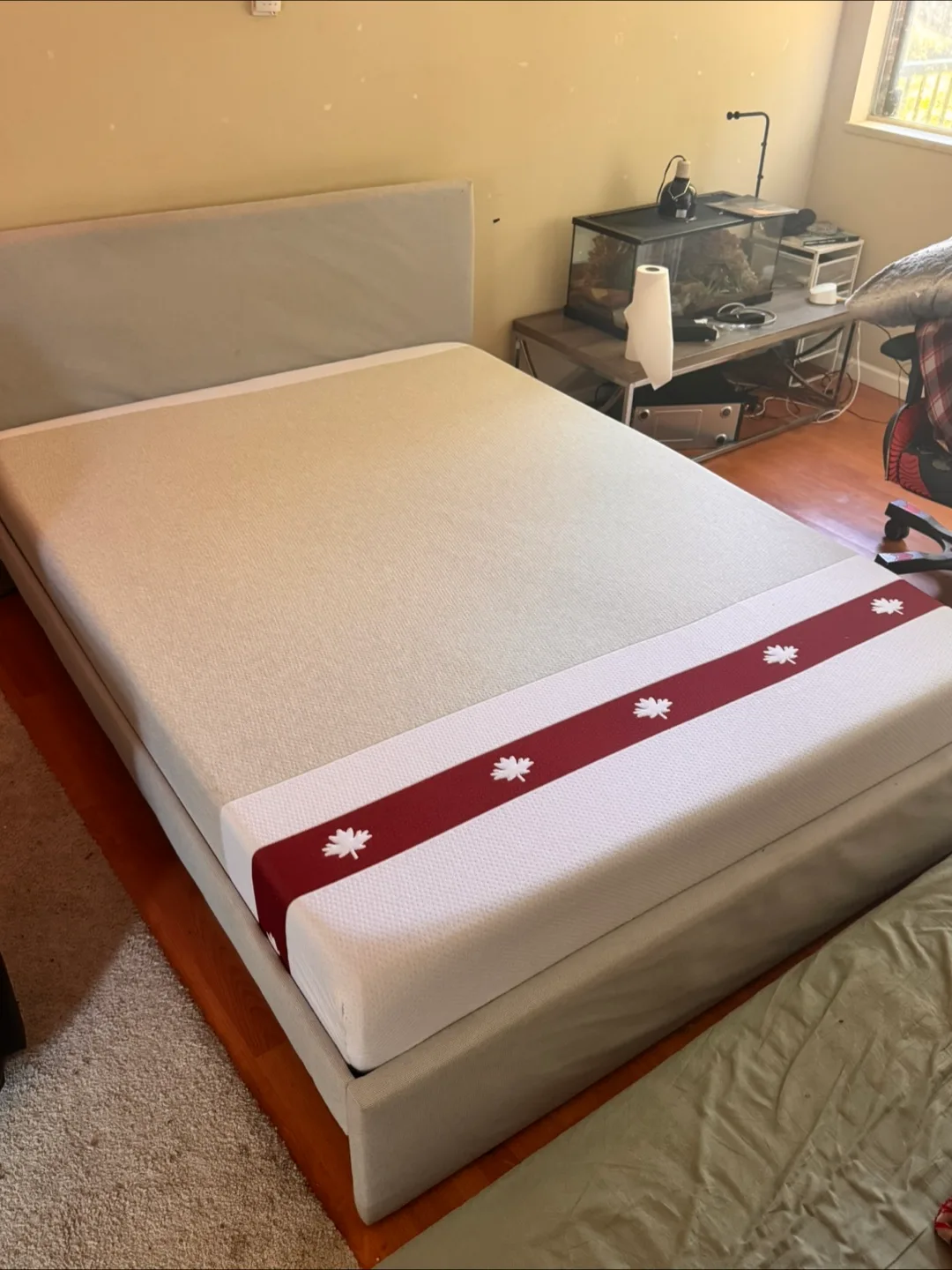 Queen Size Juno Mattress – Like New. Can Deliver image indicator(3)