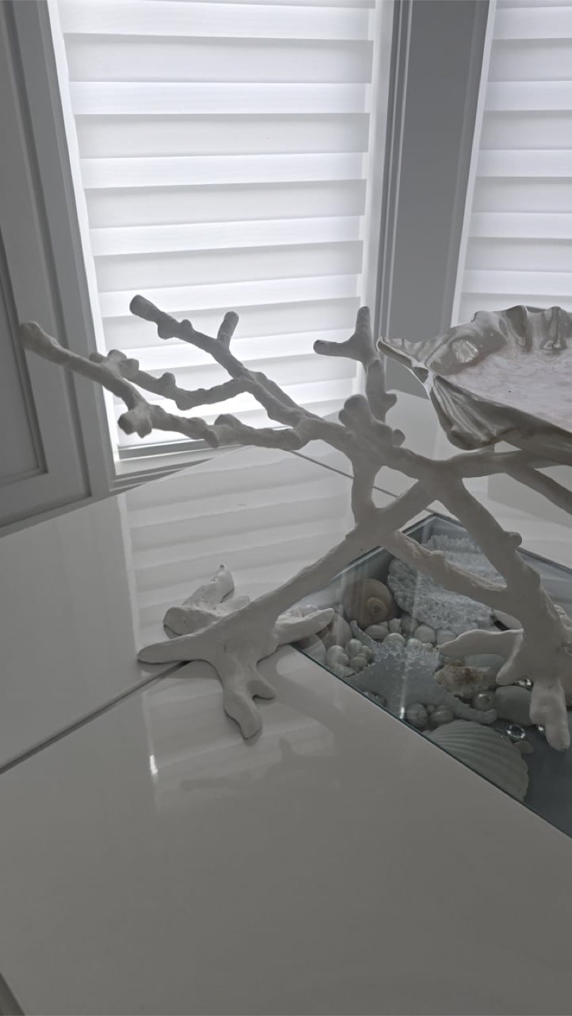 Large Seashell Decor and Serving - photo 4