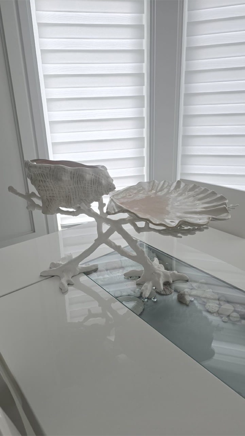 Large Seashell Decor and Serving