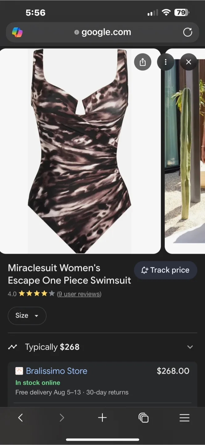 Swimsuits image indicator(8)