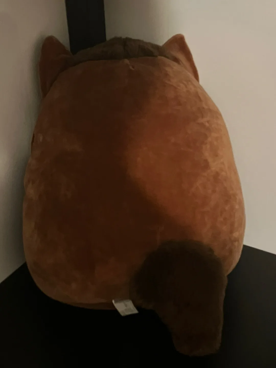 16” Wade the Werewolf Squishmallow (NWT) image indicator(2)