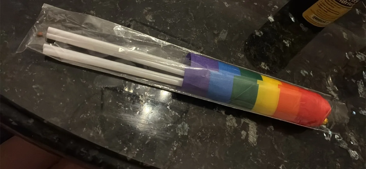 Rainbow Pride Flag - New in Packaging thumbnail