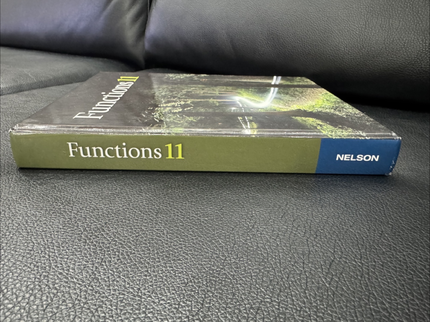 Functions 11 Textbook by Nelson - photo 2