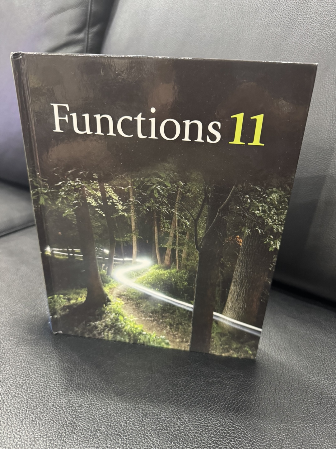 Functions 11 Textbook by Nelson