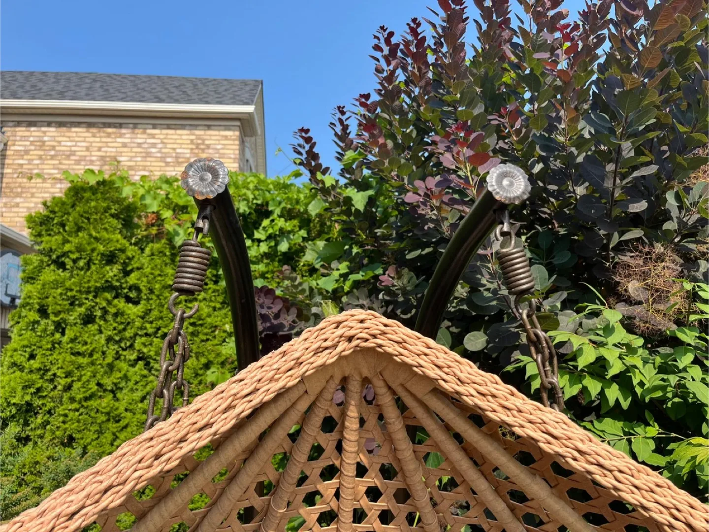 Huge rattan  double egg hanging chair $250 FIRM image indicator(5)