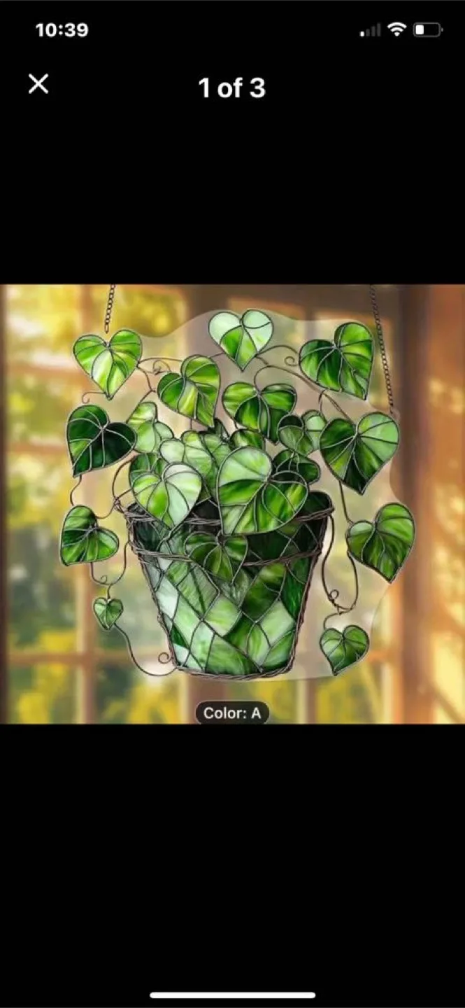2D Stained Glass pothos  Plant, new thumbnail