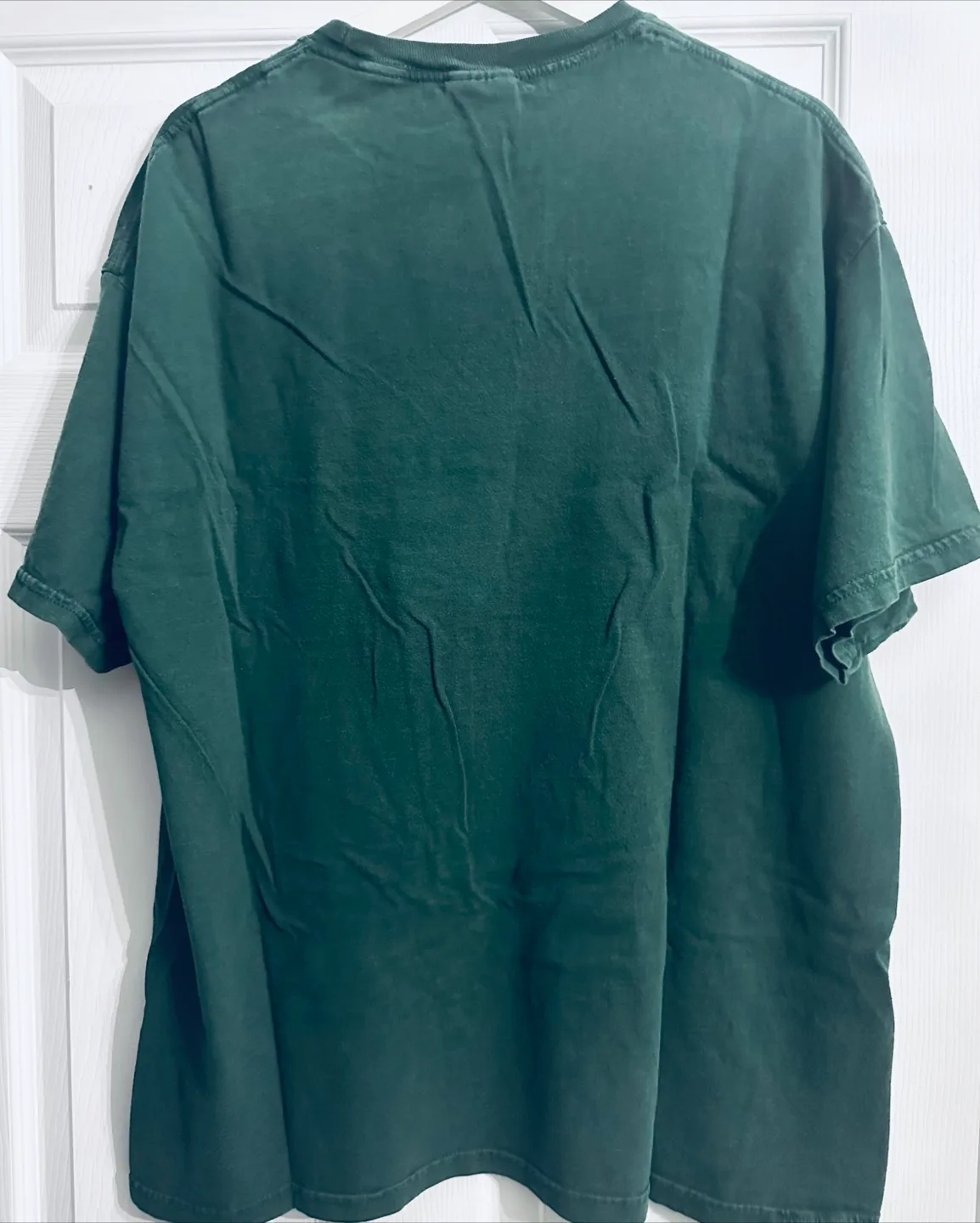 Hanes Green Lantern T-Shirt image indicator(2)