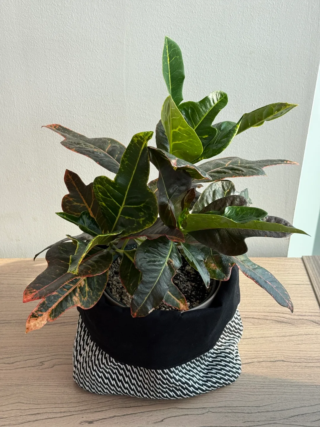 IKEA VEKFISK Fabric Baskets – Black/White (Set of 2) image indicator(6)