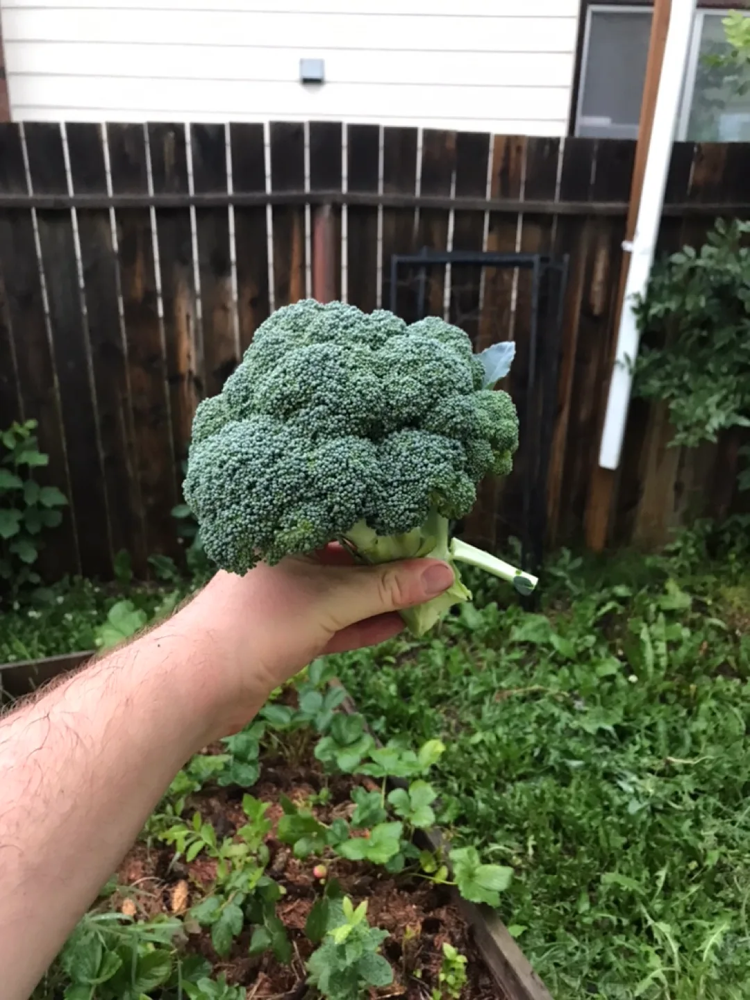 Lights of varying & mysterious models image indicator(3)