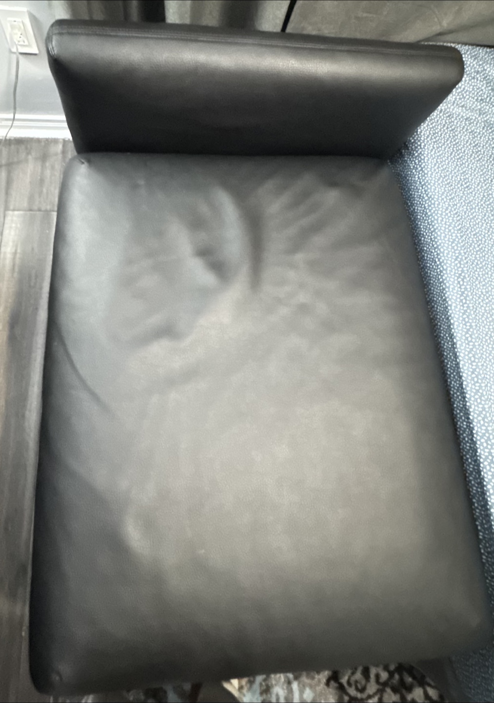 Black Leather Chair turns into dreamland