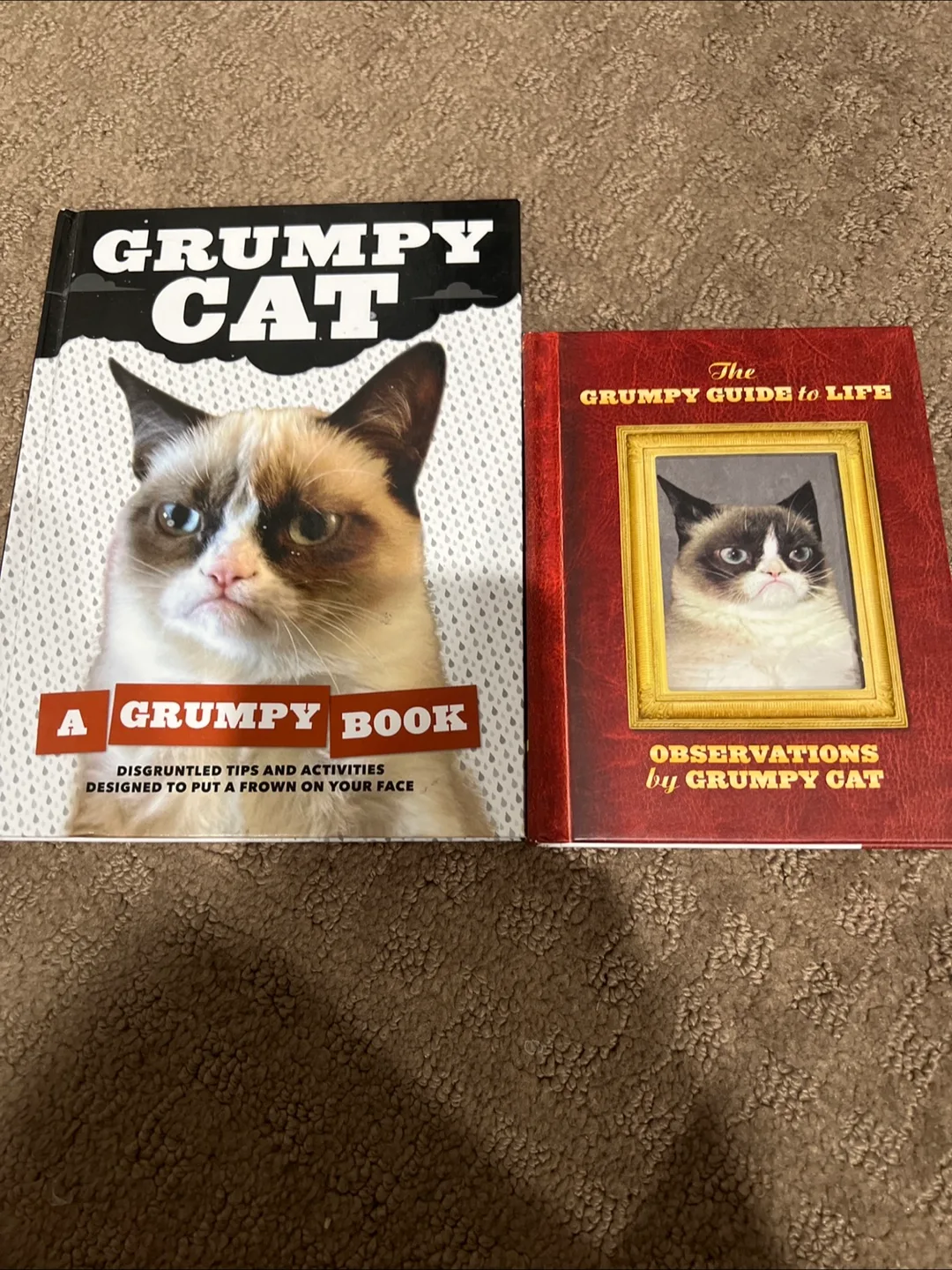 Grumpy Cat Book Bundle thumbnail
