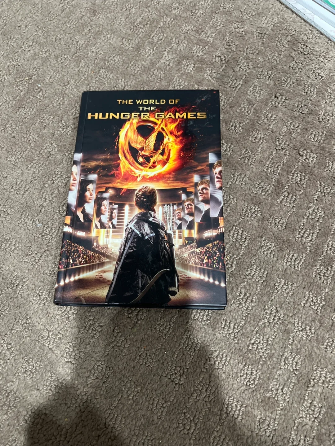 The World of the Hunger Games Book thumbnail