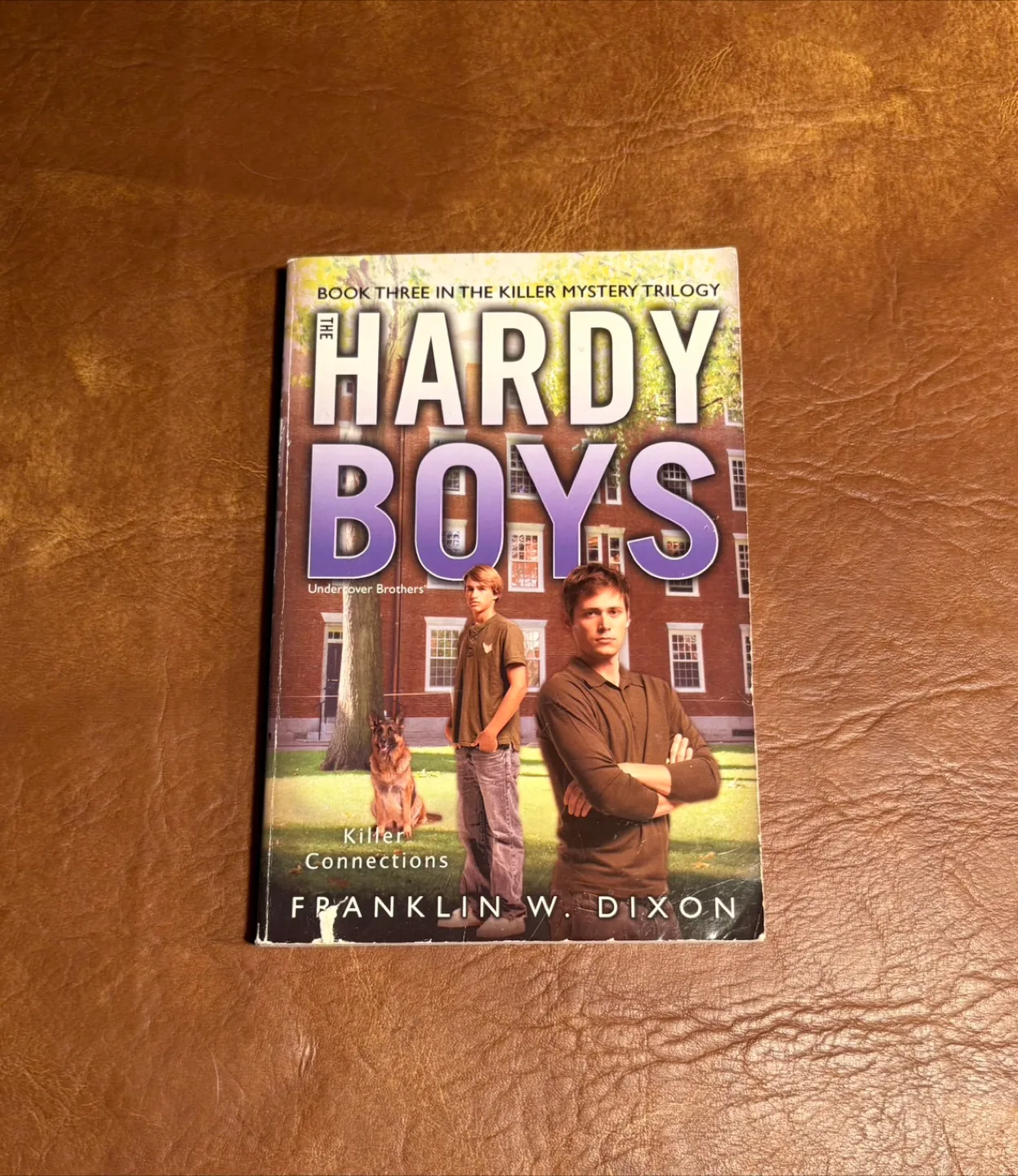 Hardy Boys image indicator(3)