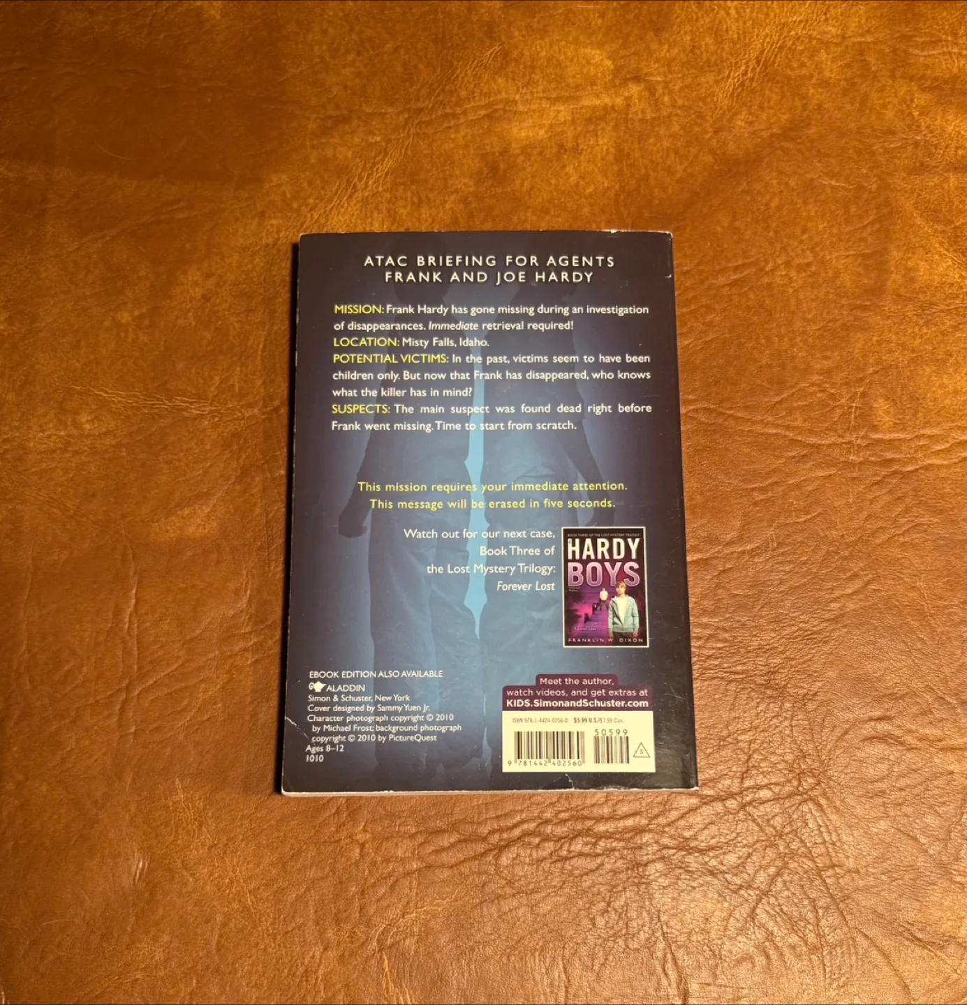 Hardy Boys image indicator(2)