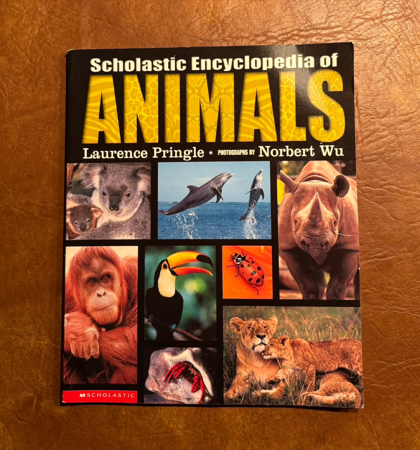 Scholastic Encyclopedia Of Animals thumbnail