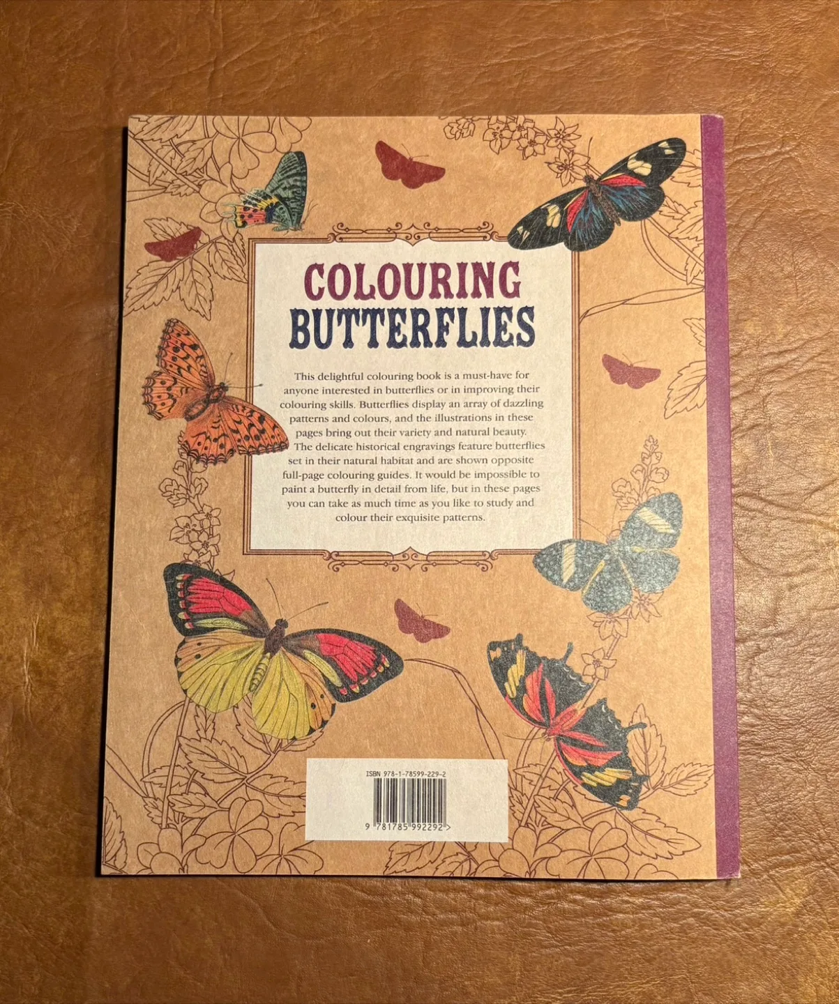 Colouring Butterflies image indicator(2)