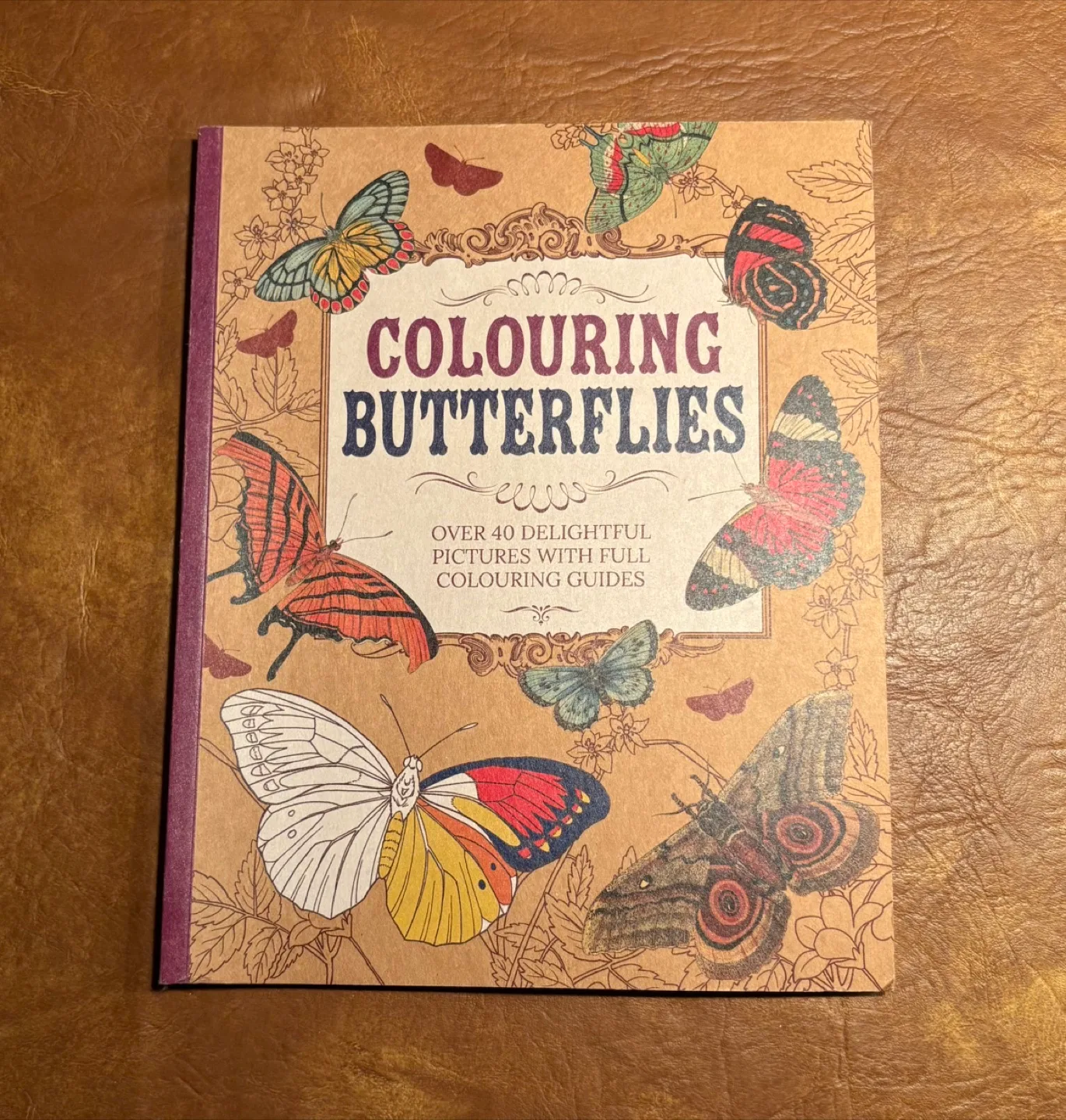 Colouring Butterflies thumbnail