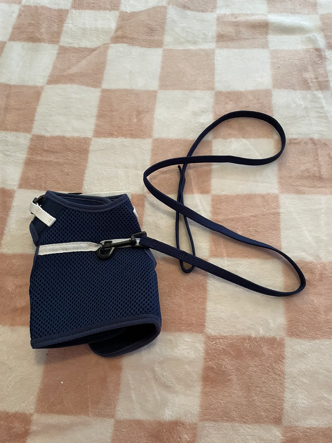 Guinea Pig/Small Pet Harness thumbnail