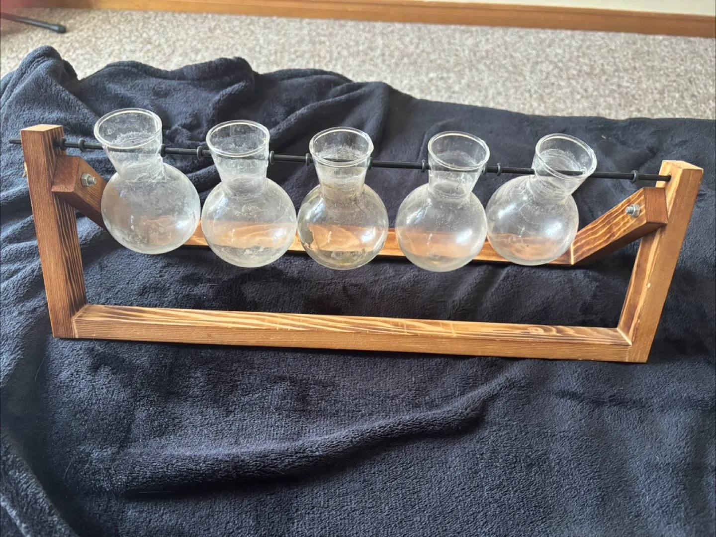Glass Propagation Station with Wooden Stand thumbnail