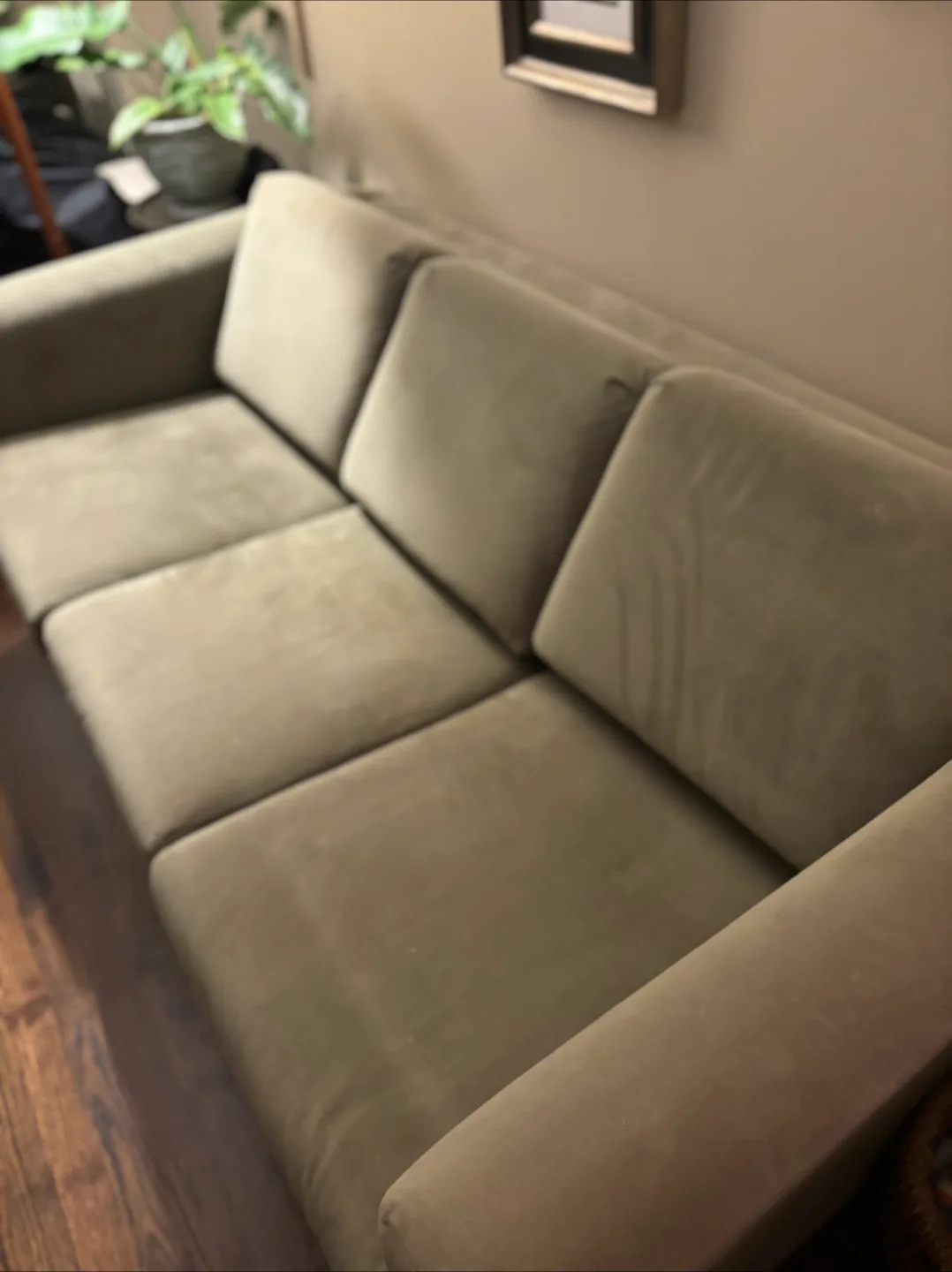 Comfortable Green Sofa thumbnail