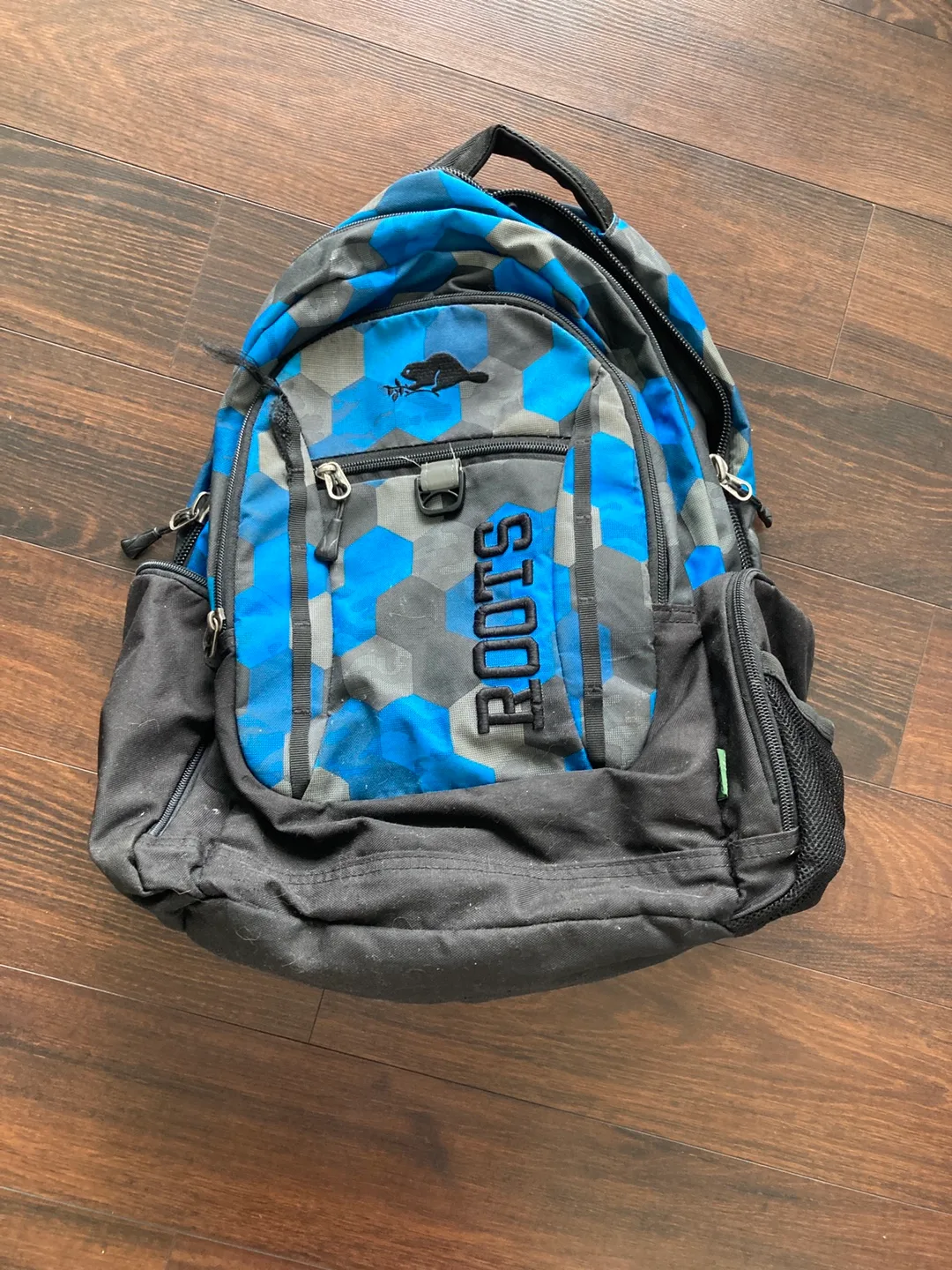 Roots Backpack - Back to school! thumbnail