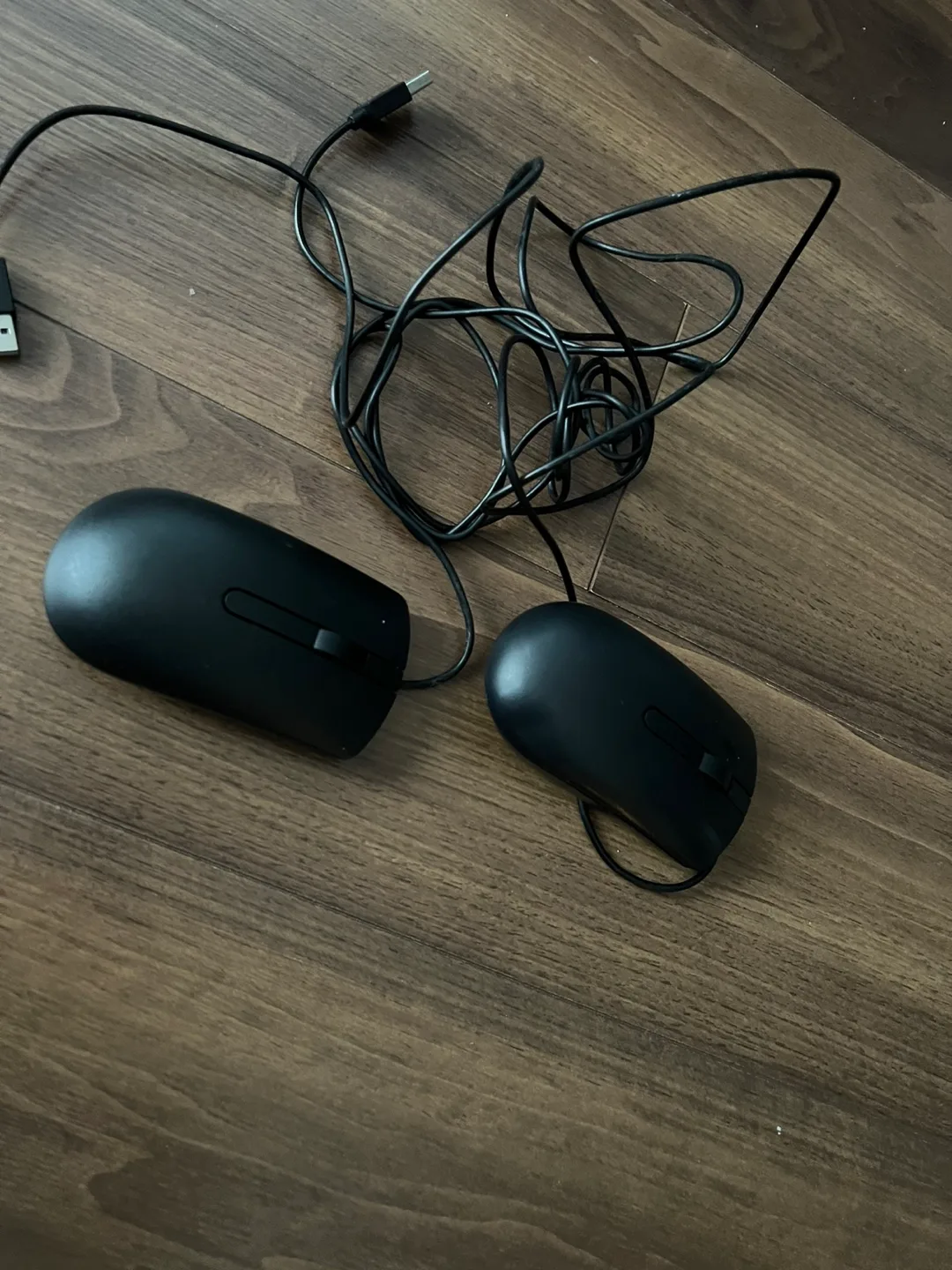 Two Black Computer Mouse thumbnail
