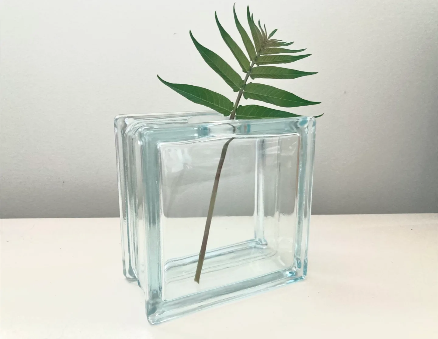 Glass Block Vase thumbnail