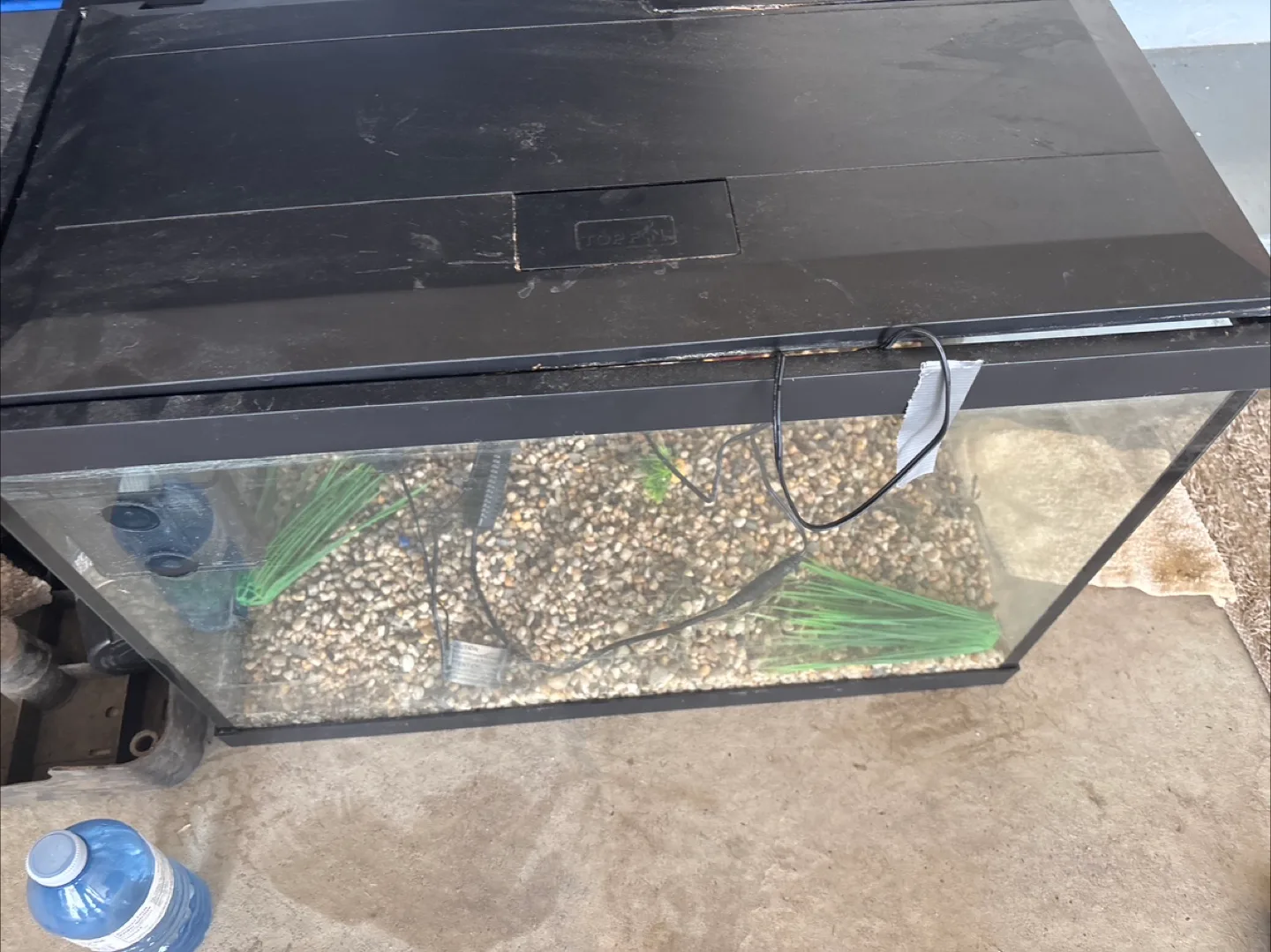 Fish Tank 20 gallon thumbnail