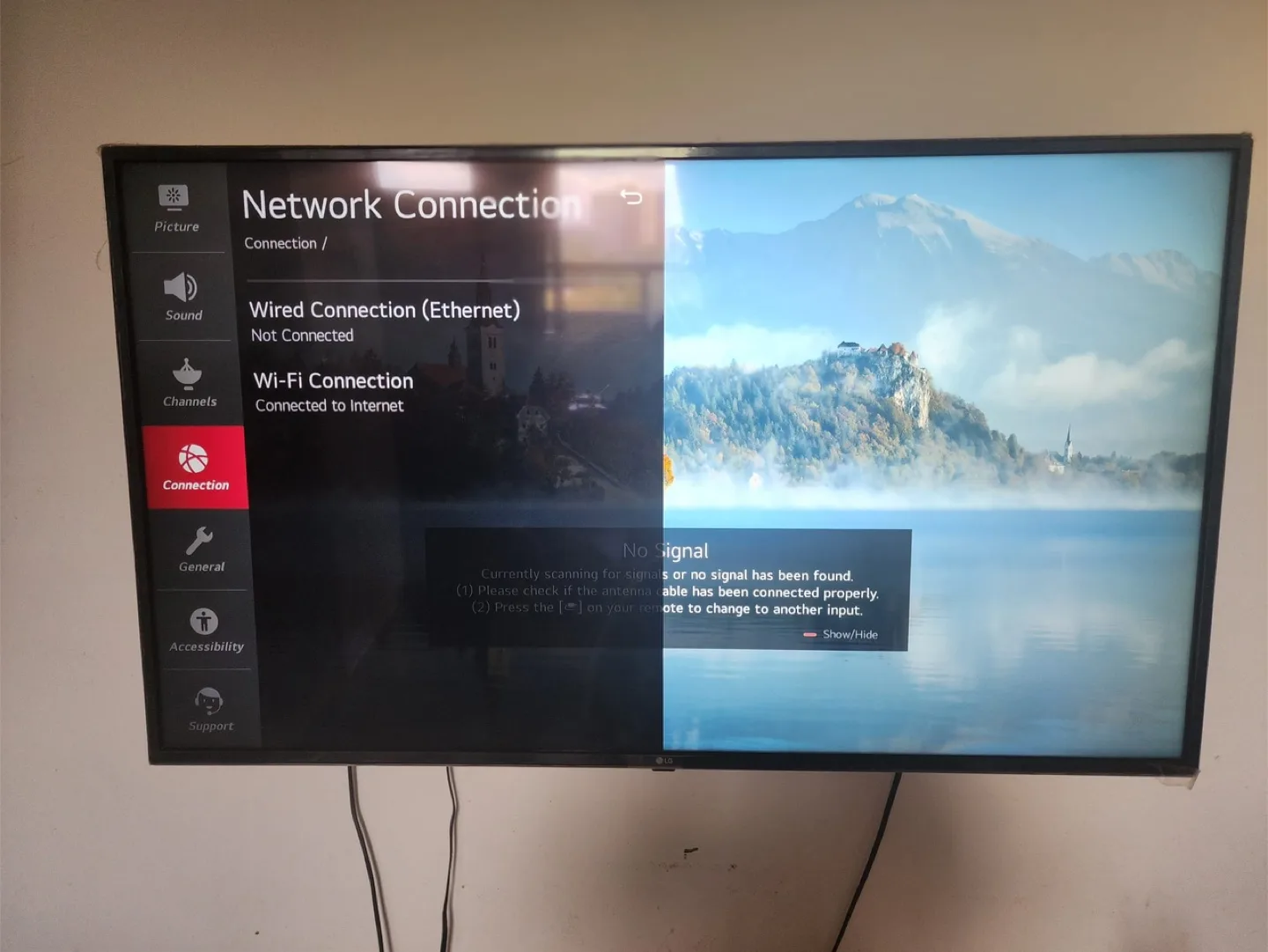 LG Smart TV 55 inch image indicator(2)