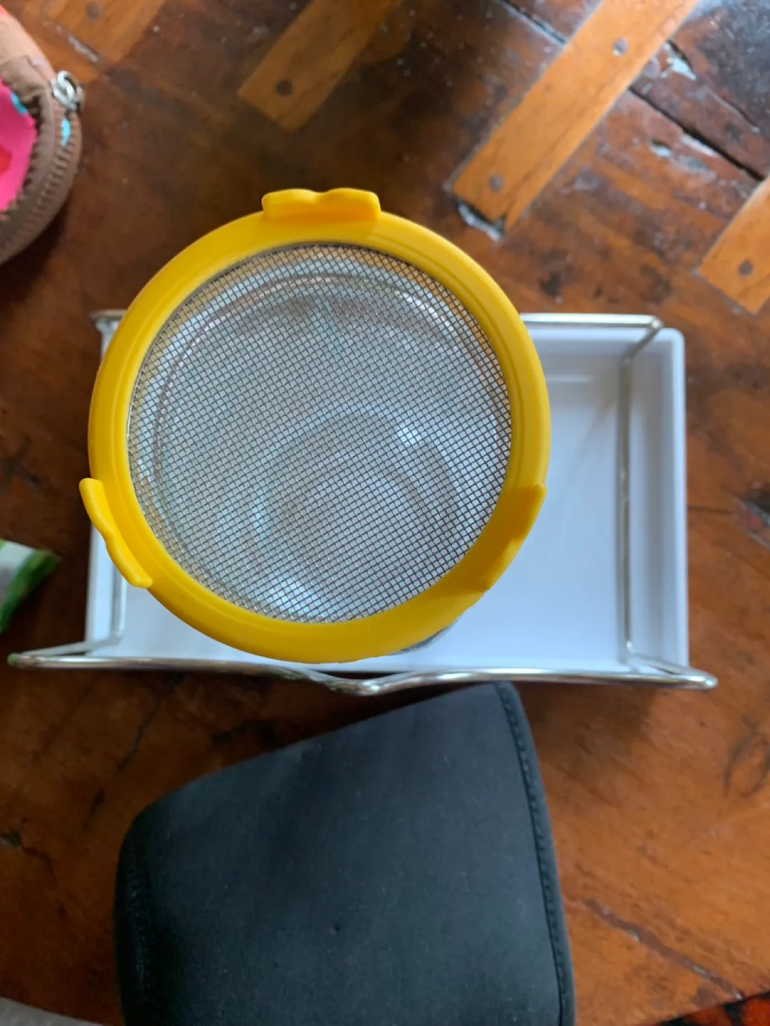 Mumm's Sprouting Seeds & Jar Sprouting Kit image indicator(3)