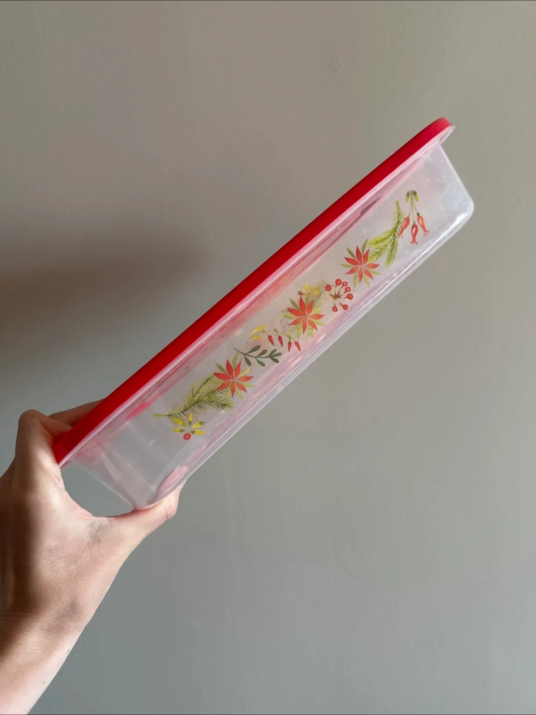 🆓 Storage Container with Lid thumbnail