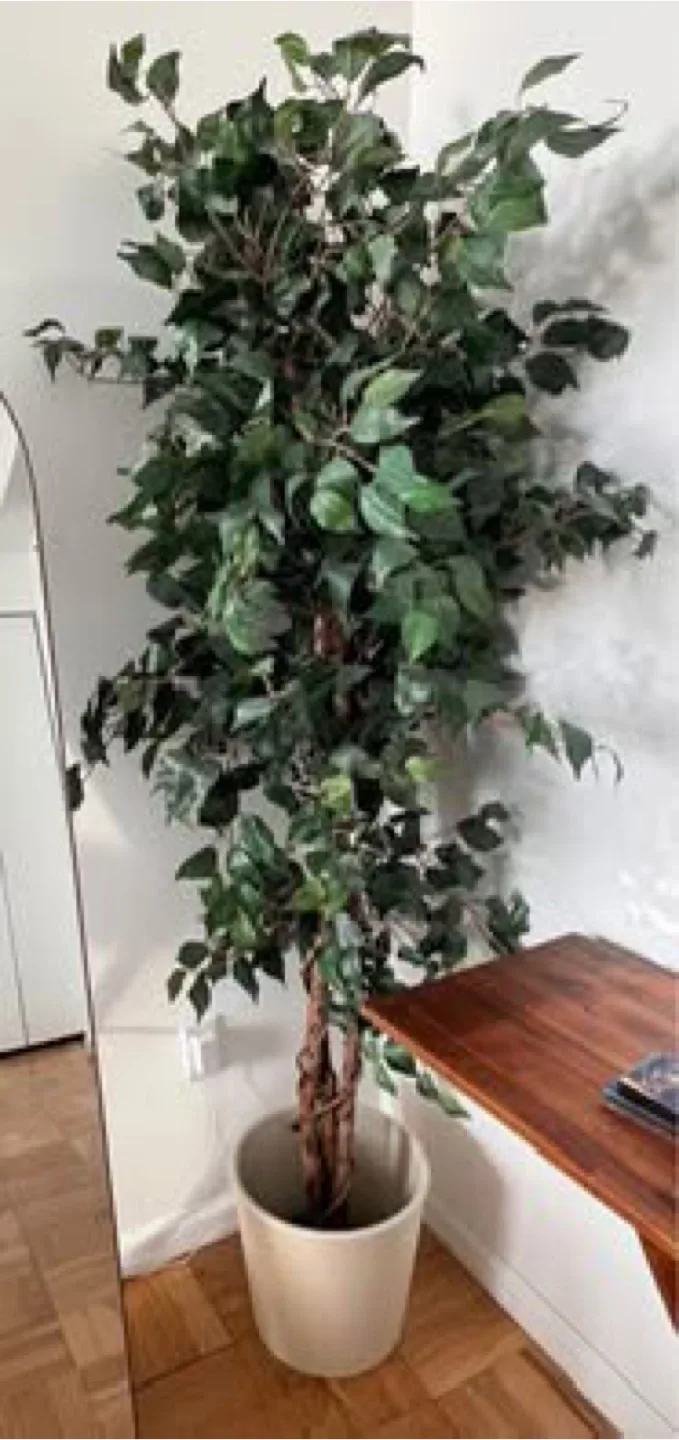 6 Ft Faux Tree with pot thumbnail