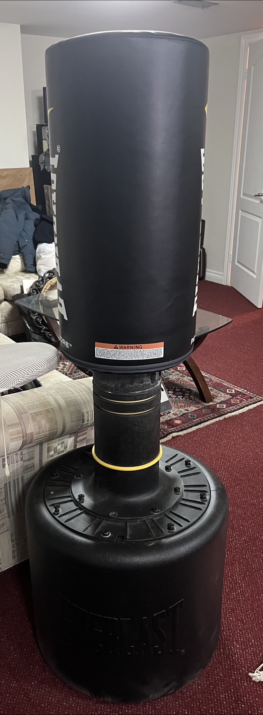 Everlast Powercore Freestanding Punching Bag - photo 3