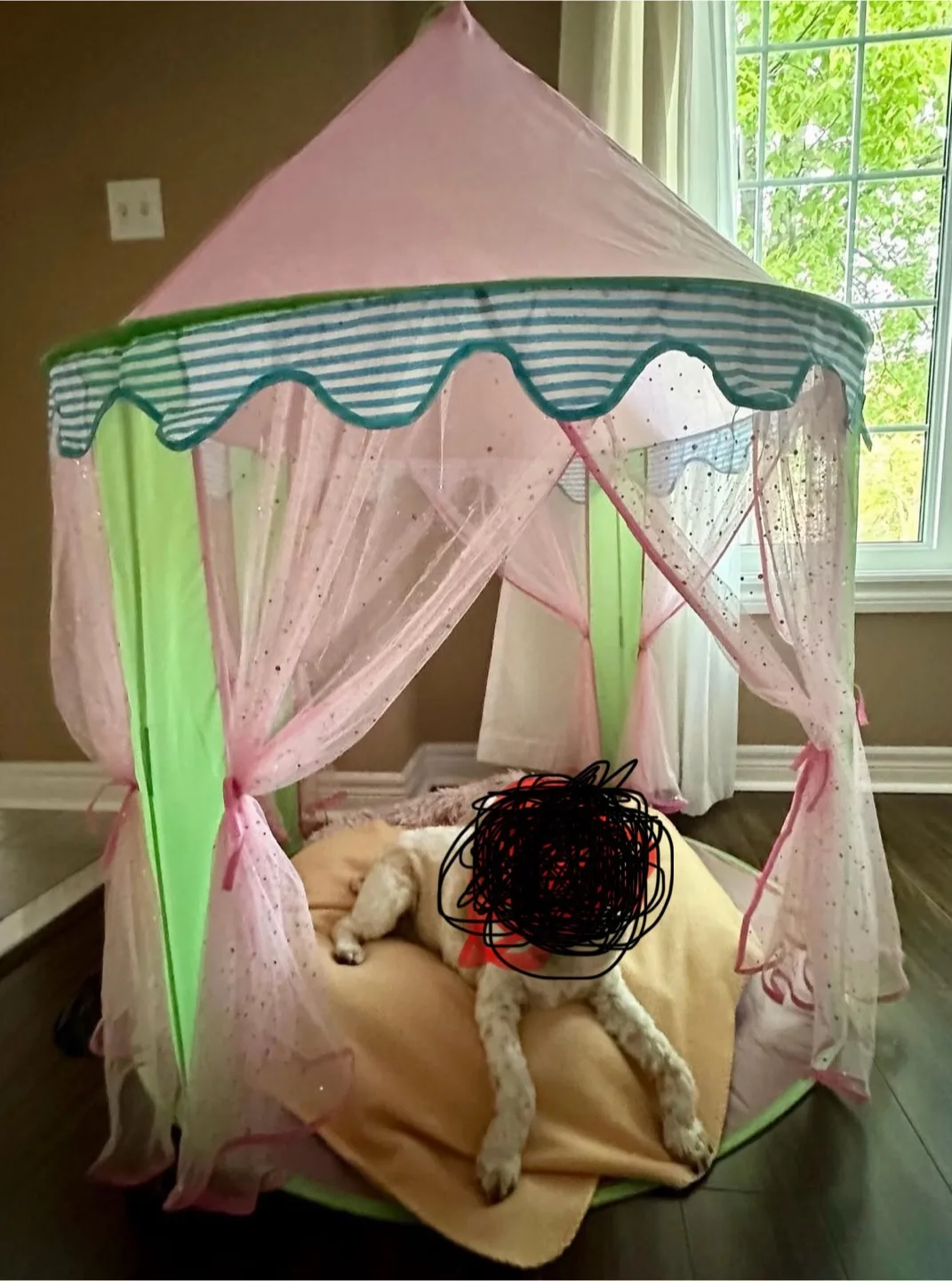 Kids Play Tent - Pink & Green thumbnail