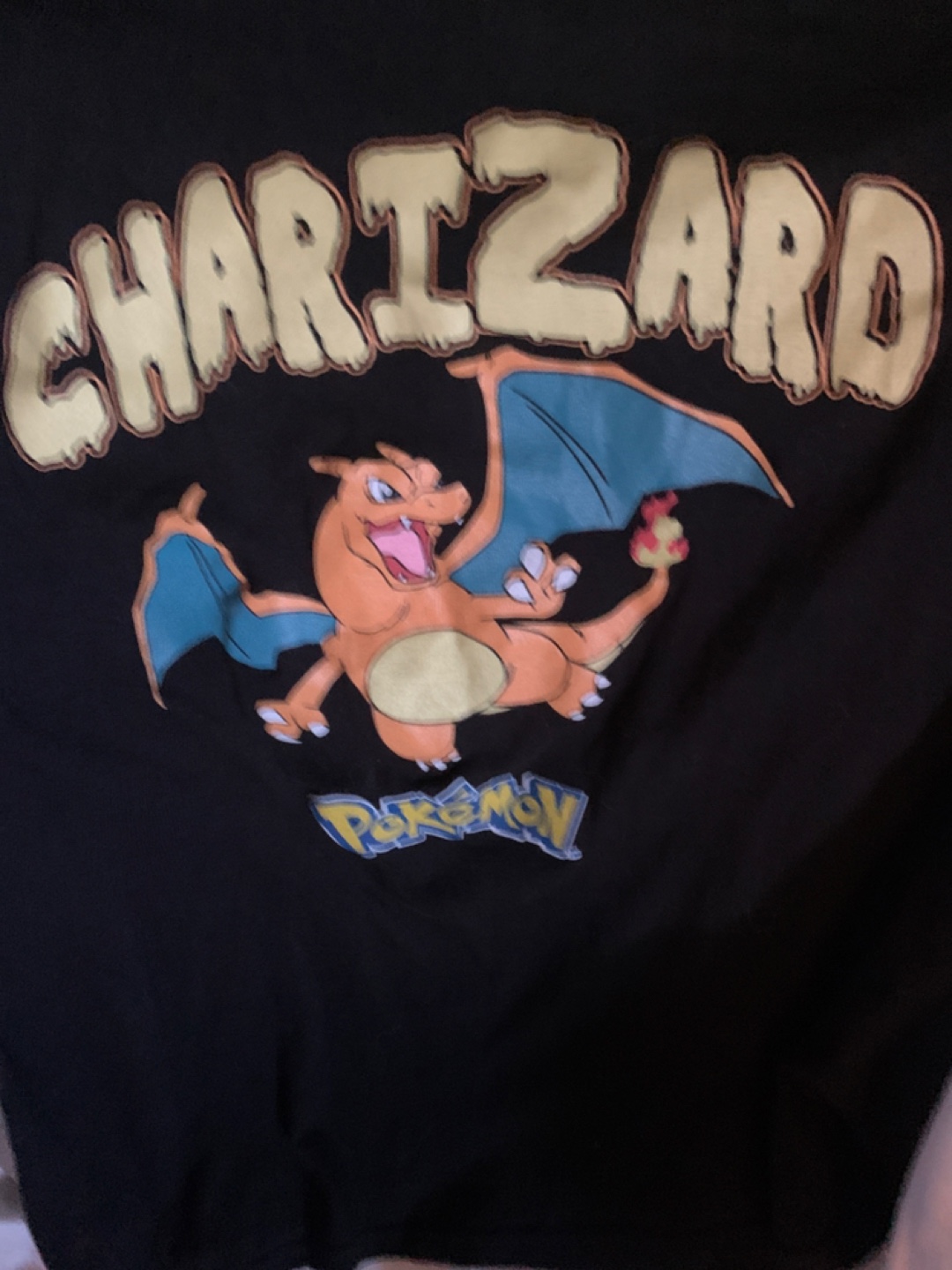 Pokémon Charizard Graphic Tee - M/M