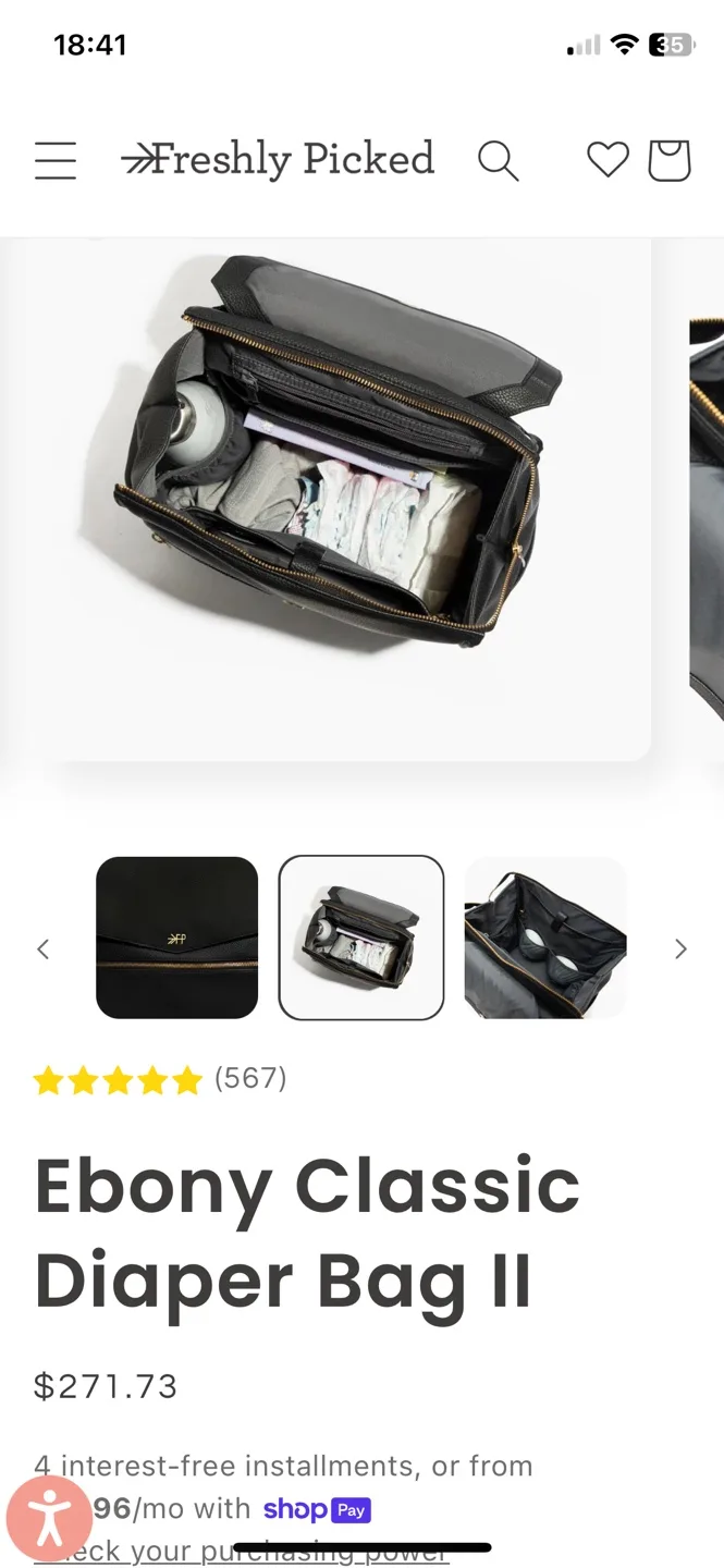 🌱“Freshly Picked”~Classic Diaper Bag 2 (backpack) image indicator(3)