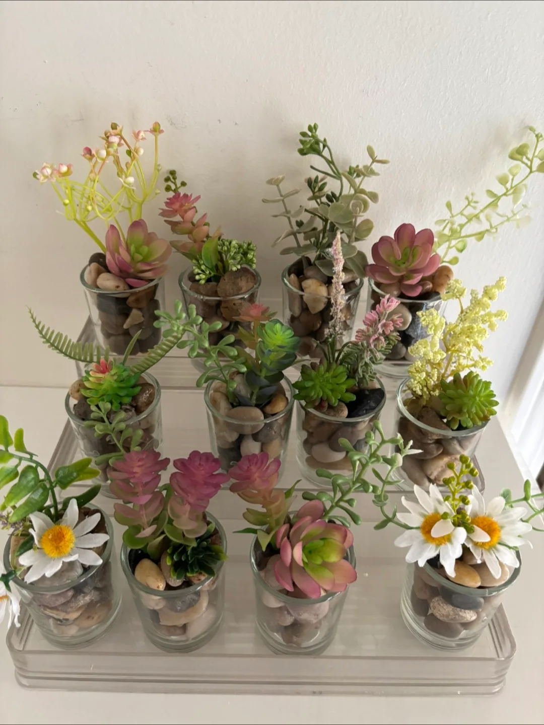 Assorted 2” Artificial Succulents in Glass Vase thumbnail