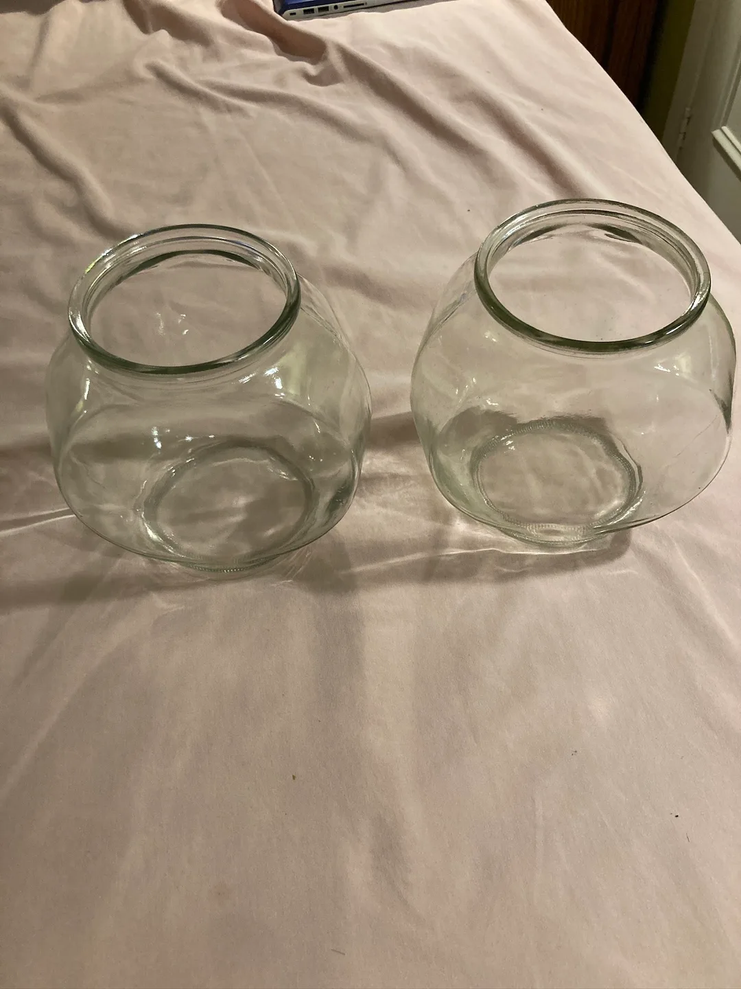 Two Glass Fish Bowls thumbnail