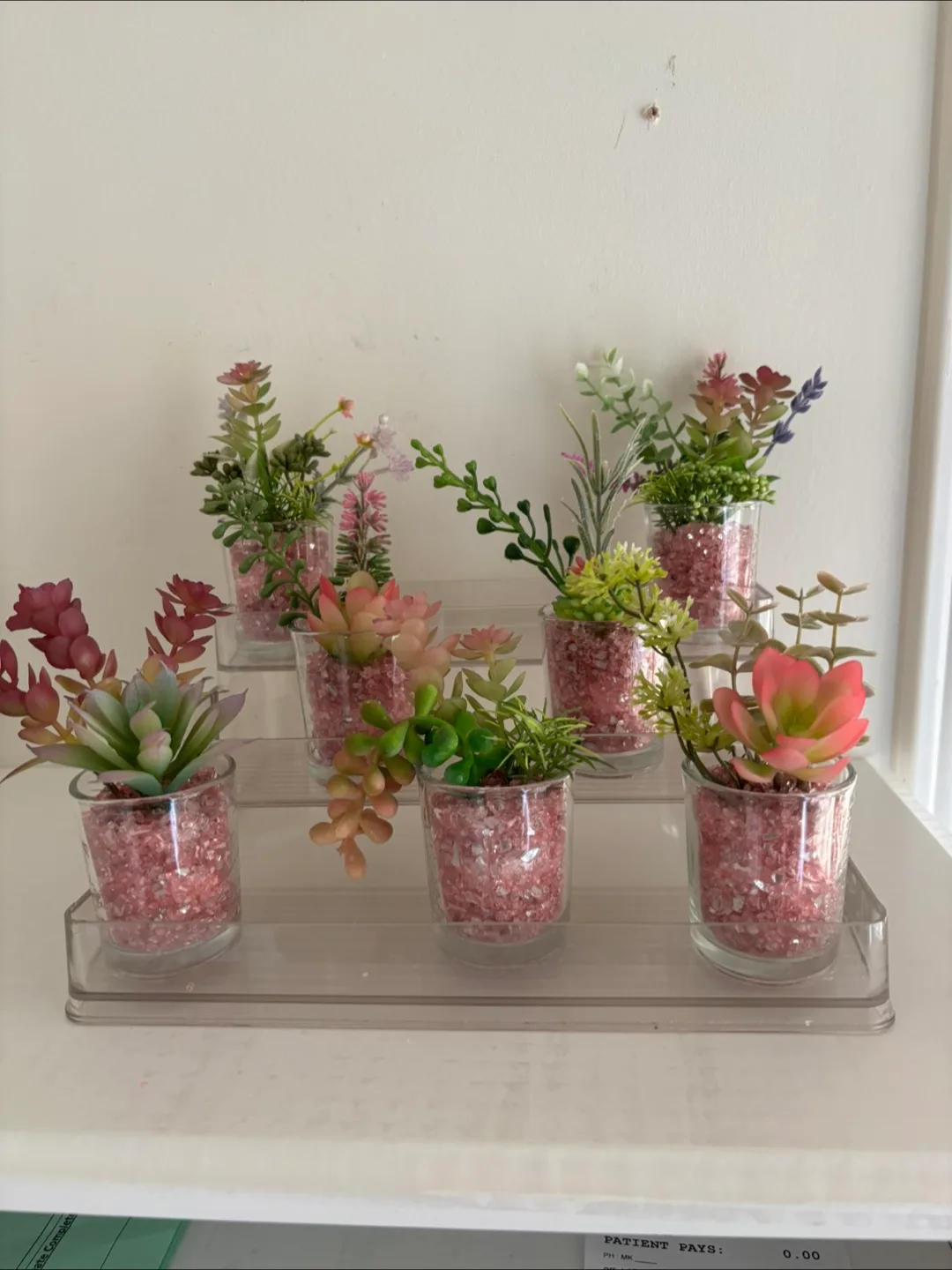 Set 3 Artificial Succulents in 2” Glass Vase thumbnail