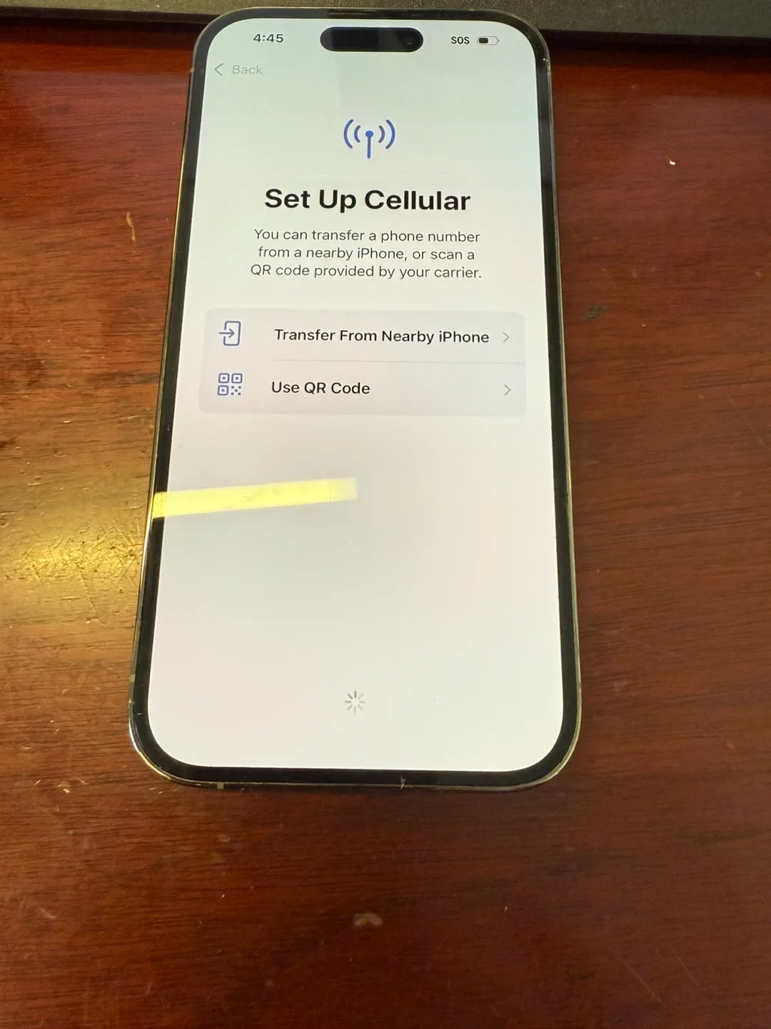 Apple iPhone 14 Pro image indicator(3)