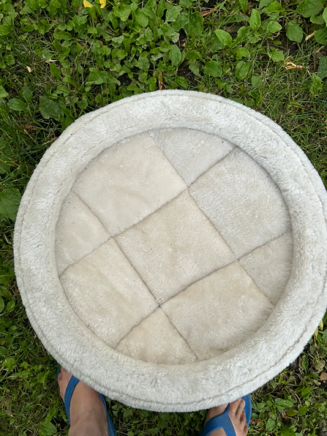 Cat  cave image indicator(2)